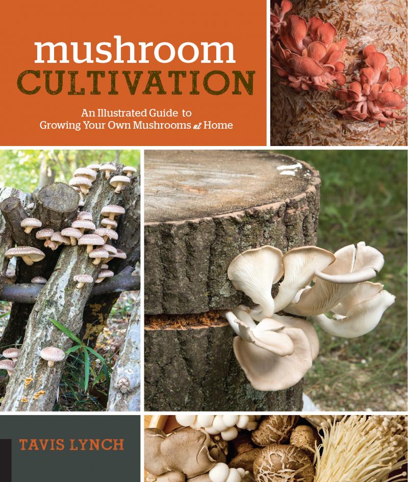 Fear Not, Growing Mushrooms Is Easier Than You Might Think Wisconsin